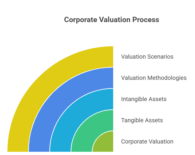 Corporate Valuation_ Your Complete Guide to Unlocking True Business Value - visual selection