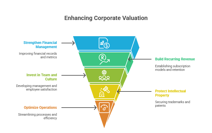 Corporate Valuation_ Your Complete Guide to Unlocking True Business Value - visual selection