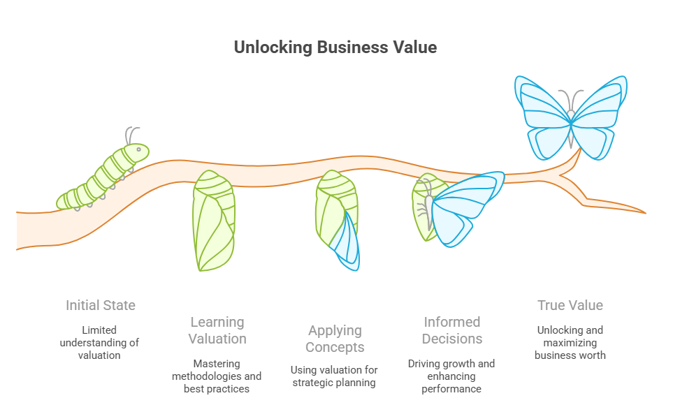 Corporate Valuation_ Your Complete Guide to Unlocking True Business Value - visual selection